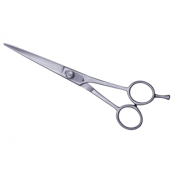 Barber Scissors